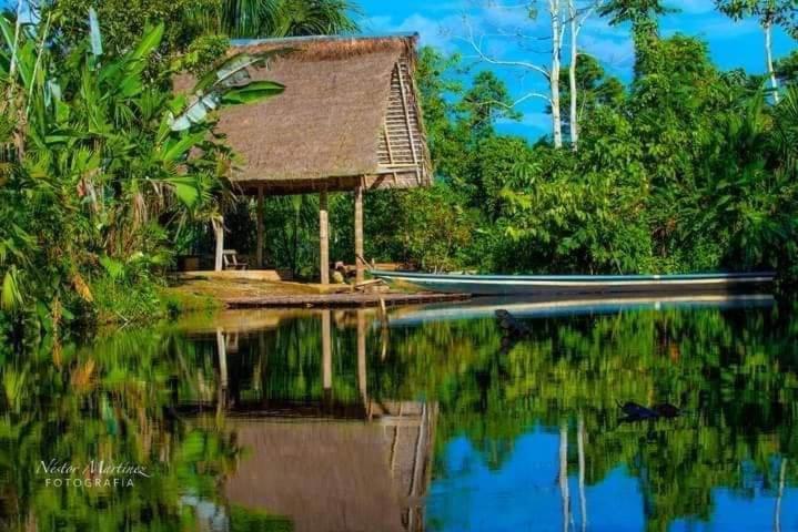 Misahualli Laguna Paikawe B&B Exterior photo